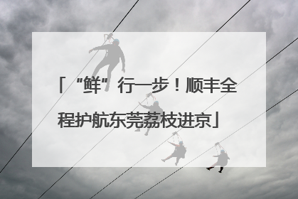 “鲜”行一步！顺丰全程护航东莞荔枝进京