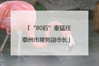 “80后”秦猛任泰州市常务副市长