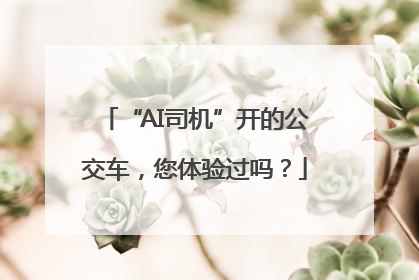 “AI司机”开的公交车，您体验过吗？