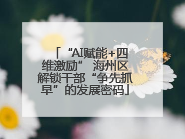 “AI赋能+四维激励” 海州区解锁干部“争先抓早”的发展密码