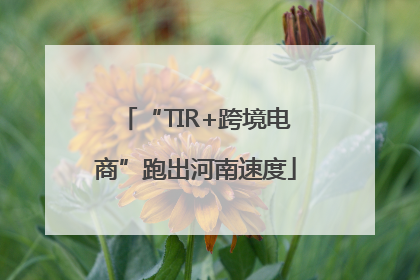 “TIR+跨境电商”跑出河南速度