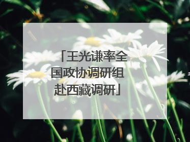 王光谦率全国政协调研组赴西藏调研