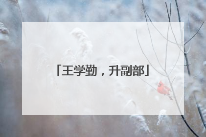 王学勤，升副部