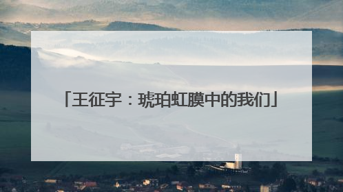 王征宇：琥珀虹膜中的我们