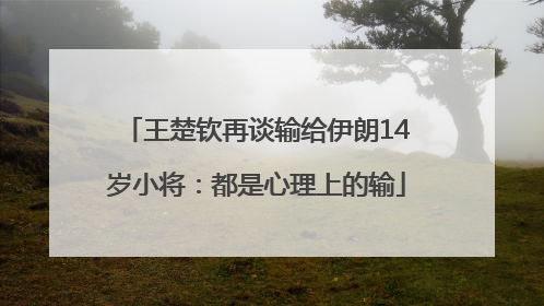 王楚钦再谈输给伊朗14岁小将：都是心理上的输
