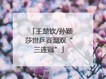 王楚钦/孙颖莎世乒赛混双“三连冠”