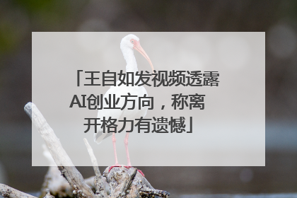 王自如发视频透露AI创业方向，称离开格力有遗憾