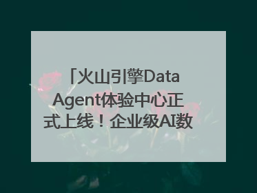 火山引擎Data Agent体验中心正式上线！企业级AI数据专家触手可及