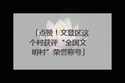 点赞！文登区这个村获评“全国文明村”荣誉称号