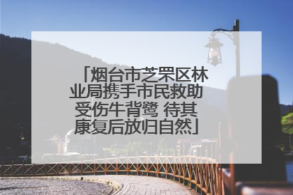 烟台市芝罘区林业局携手市民救助受伤牛背鹭 待其康复后放归自然