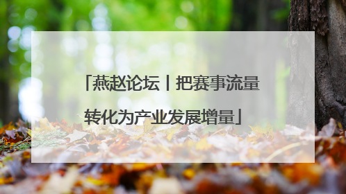 燕赵论坛丨把赛事流量转化为产业发展增量