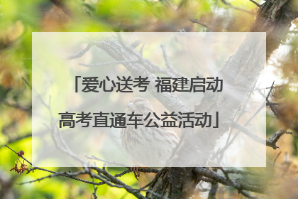 爱心送考 福建启动高考直通车公益活动