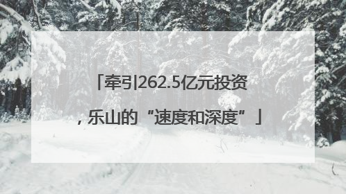 牵引262.5亿元投资，乐山的“速度和深度”