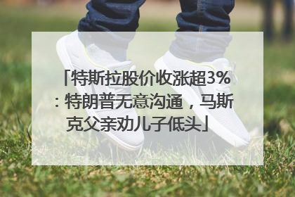 特斯拉股价收涨超3%：特朗普无意沟通，马斯克父亲劝儿子低头