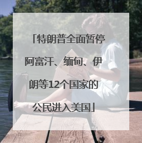 特朗普全面暂停阿富汗、缅甸、伊朗等12个国家的公民进入美国