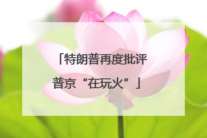 特朗普再度批评普京“在玩火”