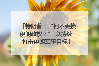 特朗普：“何不更换伊朗政权？” 以持续打击伊朗军事目标