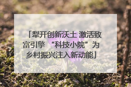 犁开创新沃土 激活致富引擎 “科技小院”为乡村振兴注入新动能