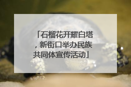 石榴花开耀白塔，新街口举办民族共同体宣传活动