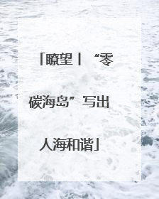 瞭望丨“零碳海岛”写出人海和谐