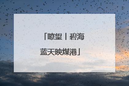 瞭望丨碧海蓝天映煤港