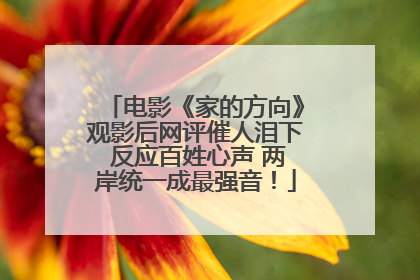 电影《家的方向》观影后网评催人泪下 反应百姓心声 两岸统一成最强音！