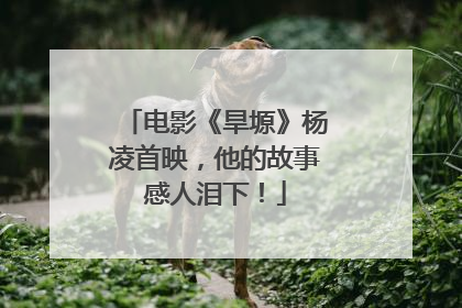 电影《旱塬》杨凌首映，他的故事感人泪下！
