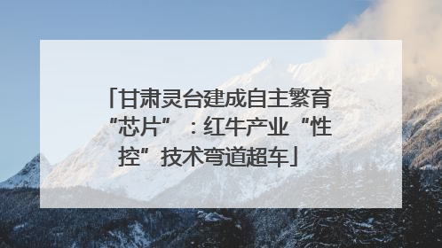 甘肃灵台建成自主繁育“芯片”：红牛产业“性控”技术弯道超车