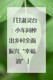 甘肃灵台：小车间榨出乡村全面振兴“幸福油”