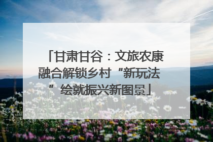 甘肃甘谷：文旅农康融合解锁乡村“新玩法”绘就振兴新图景