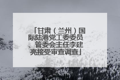 甘肃（兰州）国际陆港党工委委员、管委会主任李建亮接受审查调查
