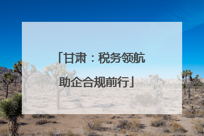 甘肃：税务领航 助企合规前行
