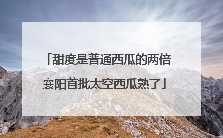 甜度是普通西瓜的两倍 襄阳首批太空西瓜熟了