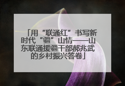 用“联通红”书写新时代“疆”山情——山东联通援疆干部郝兆武的乡村振兴答卷