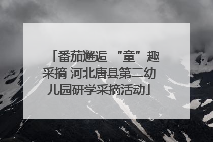 番茄邂逅 “童”趣采摘 河北唐县第二幼儿园研学采摘活动