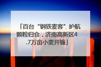 百台“钢铁麦客”护航颗粒归仓，济南高新区4.7万亩小麦开镰