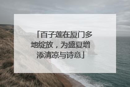 百子莲在厦门多地绽放，为盛夏增添清凉与诗意