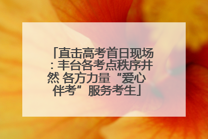 直击高考首日现场：丰台各考点秩序井然 各方力量“爱心伴考”服务考生