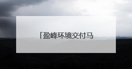 盈峰环境交付马来西亚首批纯电动垃圾压缩车