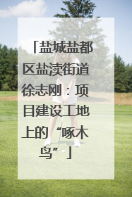 盐城盐都区盐渎街道徐志刚：项目建设工地上的“啄木鸟”