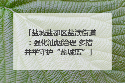 盐城盐都区盐渎街道：强化油烟治理 多措并举守护“盐城蓝”