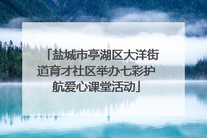 盐城市亭湖区大洋街道育才社区举办七彩护航爱心课堂活动