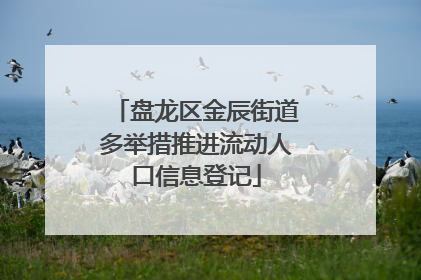 盘龙区金辰街道多举措推进流动人口信息登记