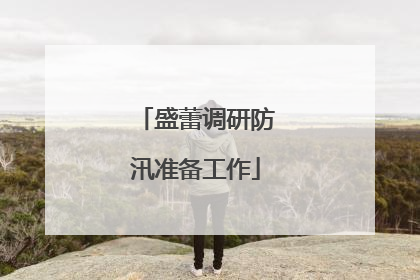 盛蕾调研防汛准备工作