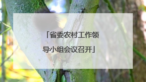 省委农村工作领导小组会议召开