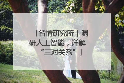 省情研究所｜调研人工智能，详解“三对关系”