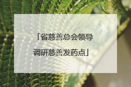 省慈善总会领导调研慈善发药点