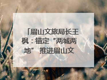 眉山文旅局长王枫：锚定“两城两地” 推进眉山文旅融合高质量发展｜文旅局长说
