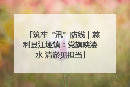 筑牢“汛”防线｜慈利县江垭镇：党旗映溇水 清淤见担当