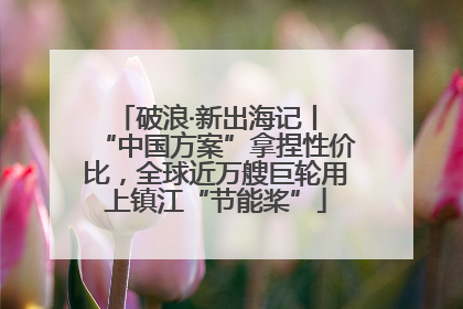 破浪·新出海记丨 “中国方案”拿捏性价比，全球近万艘巨轮用上镇江“节能桨”